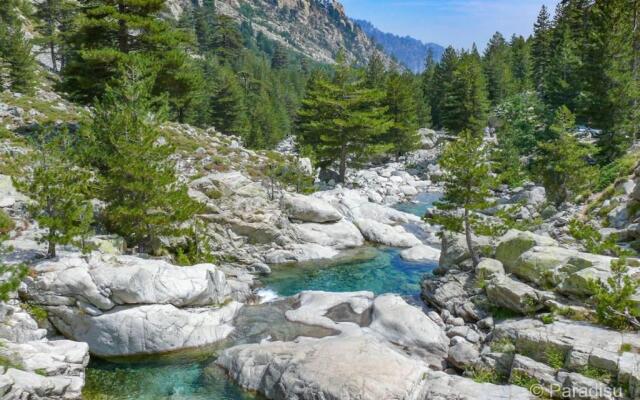 Corte Apparemment T3 en résidence privé