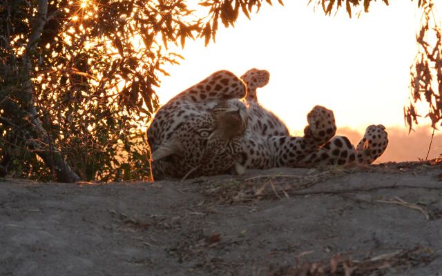 Leopard Mountain Safari Lodge