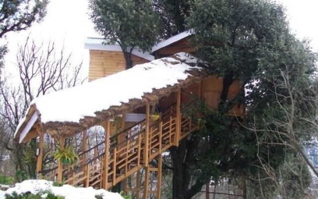 Manali Treehouse Cottages