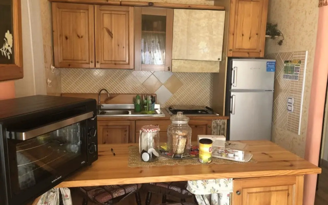 Central Apartment