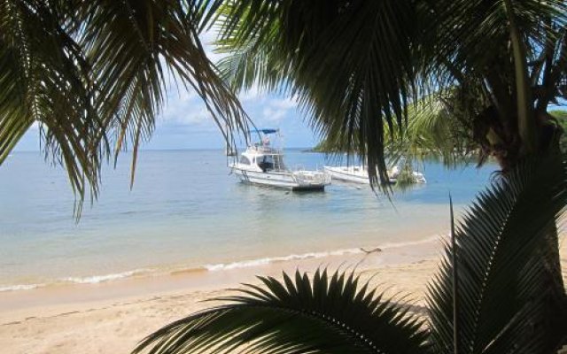 Hotel Chillies and Native Sons Diving