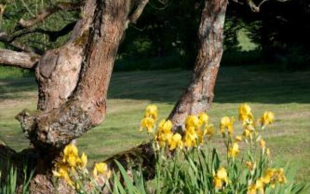 La Chouette Qui Chante