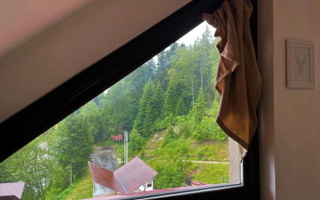 Private Apartment Laplandia 77 (Pamporovo, Bulgaria)