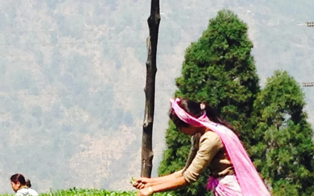 Sourenee Tea Estate & Boutique Resort