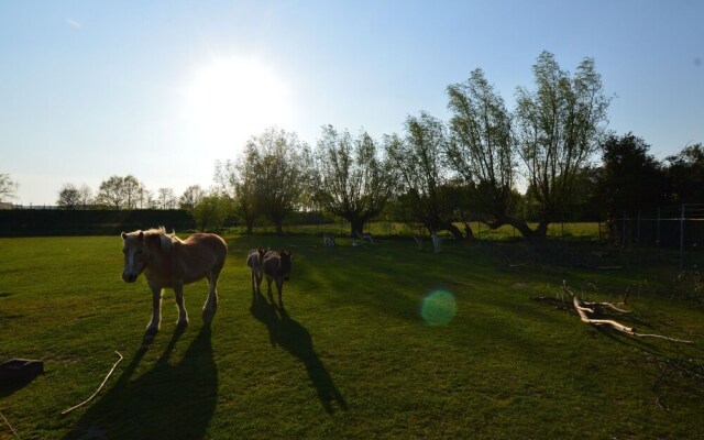 Holiday Home in Bergen op Zoom with Garden