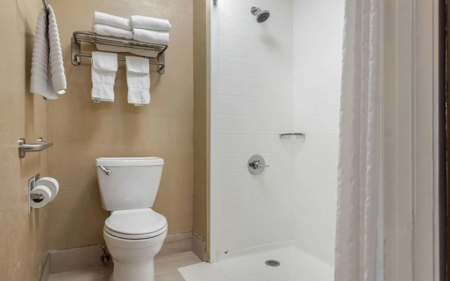 Comfort Inn South