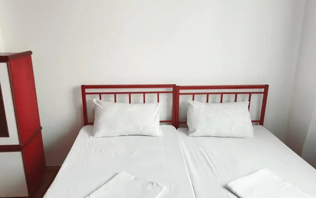 Zebra Hostel & Tours