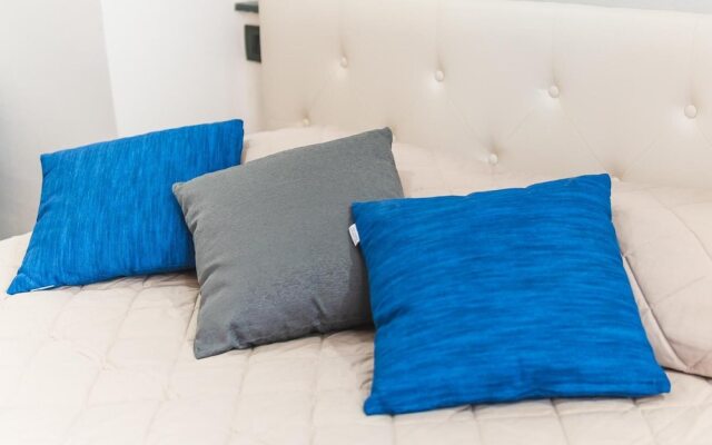 SanCosmoSuite
