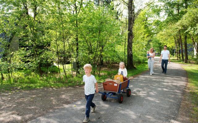 Veluwe Forest Villa With Comfort