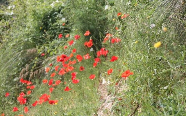 B&B Miralonga Valle Lao