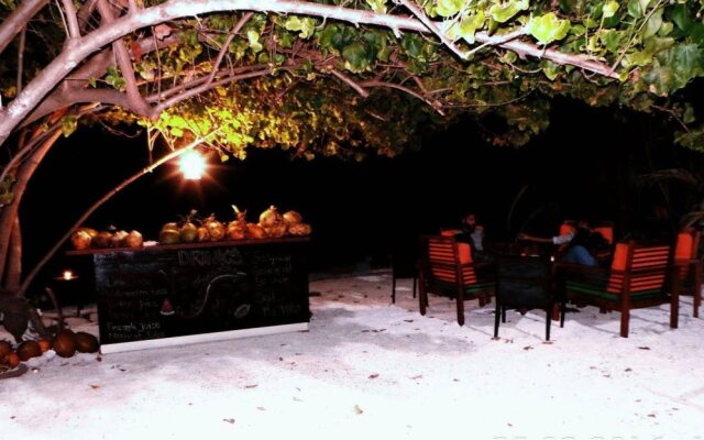 Piculet Royal Beach