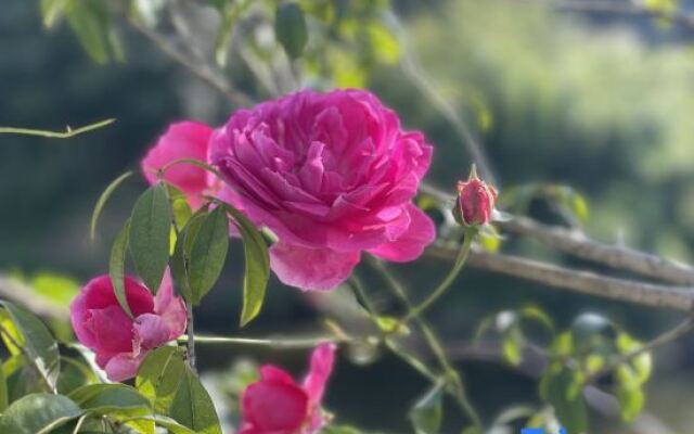 Rongchang Riel High-tech Hotel