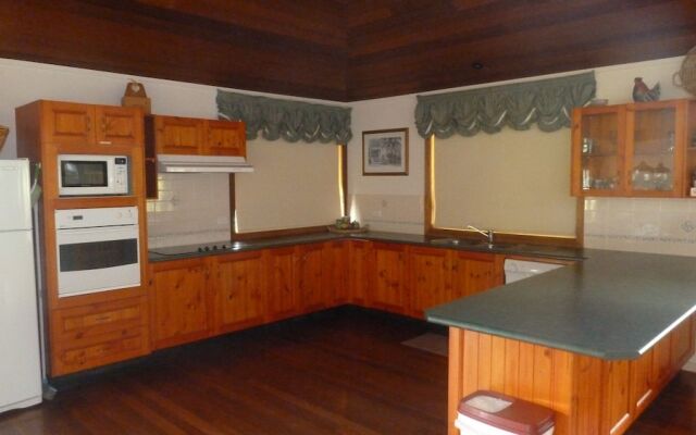 Blackwattle at Barrington Tops