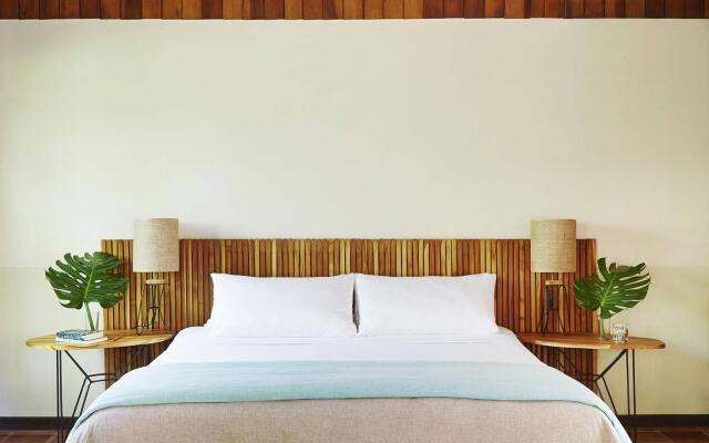 The Harmony Hotel