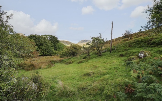Tyn Y Graig