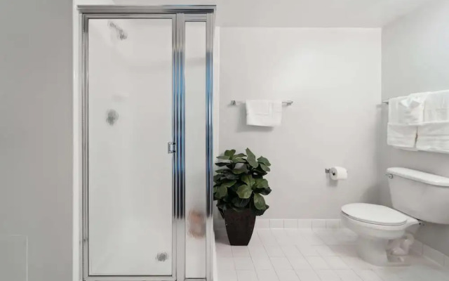 2BR Luxury City Suite With Gym & Pool