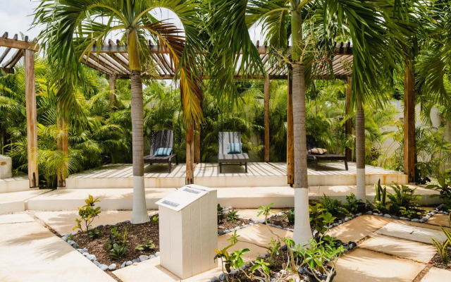 Modern studio spa & gym at Central Park Tulum