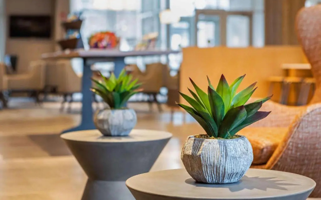 Cambria Hotel Orlando Airport