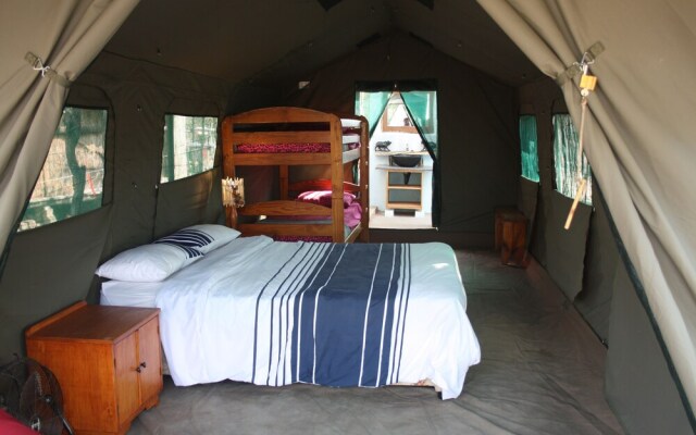 Warthogs Safari Camp