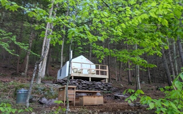 Tentrr - Birdwatcher