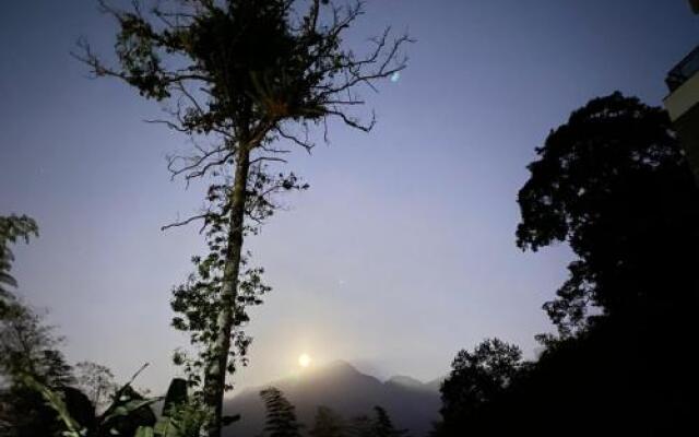 Sitou Arcadia Homestay