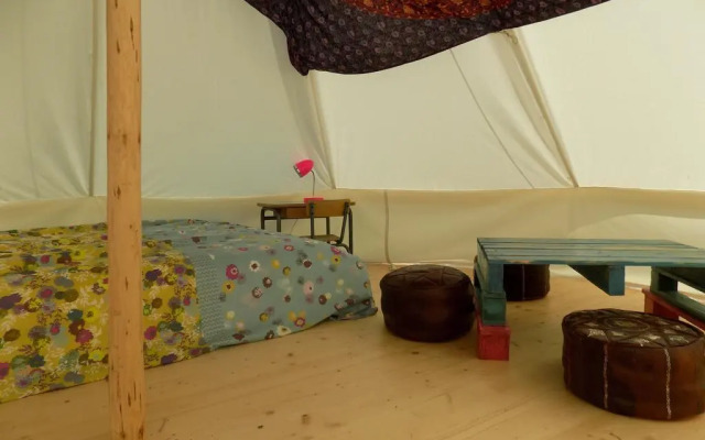 La chouette étoilée