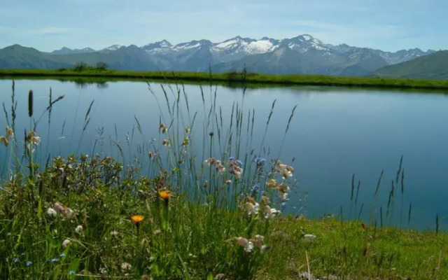 Parkvilla Appartements