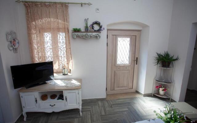 Vicky's House