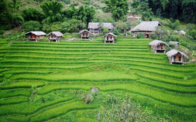 Eco Palms House - Sapa Retreat