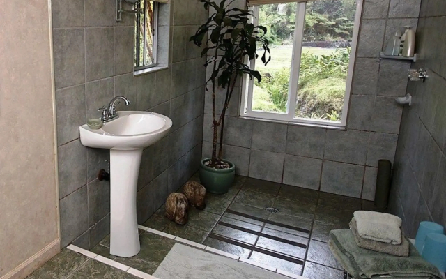 The Artist Cottage - Bed And Breakfast - Cottages_and_Houses in Volcano - Photo 3