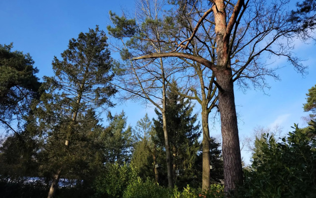Secret Wellness Puur Natuur