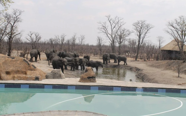 Dzibanana Lodge & Camping
