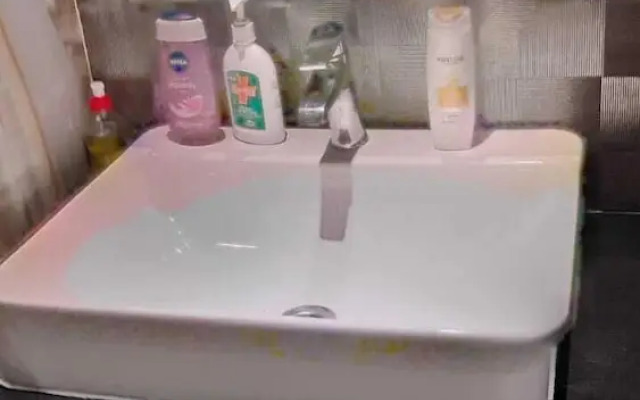 The luxury apartments