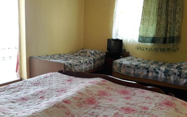 Guest house on Devyatnadtsataya