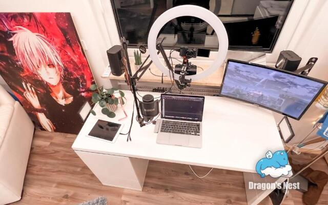 Dragons Nest: Cozy & Modern Attic Loft Nuremberg