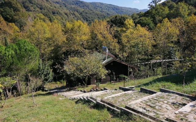 Sakli Cennet Esadiye