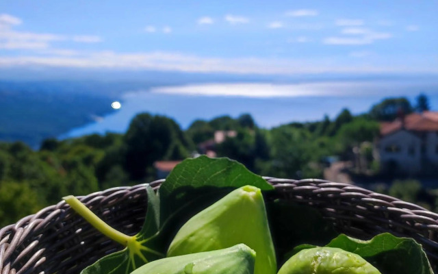 Uphill Opatija Apartment