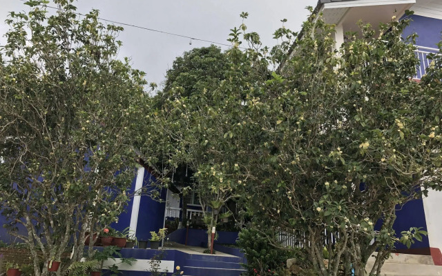 Shin Sane Guesthouse