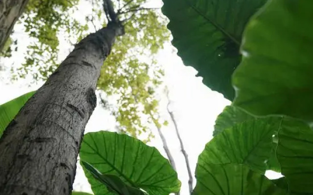 ACME · Yequ Qingshu Inn