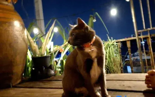 Baan GoLite Ko Kret