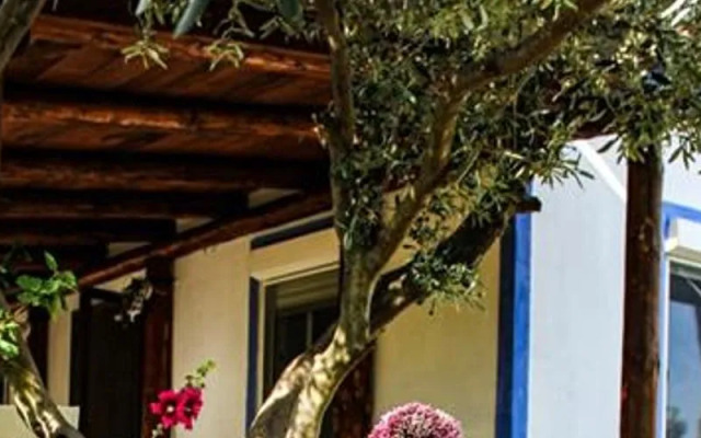 Tenedos Bag Evi