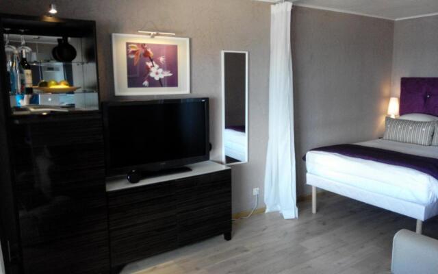 Apartment Saint Romain near Monaco, free Wifi