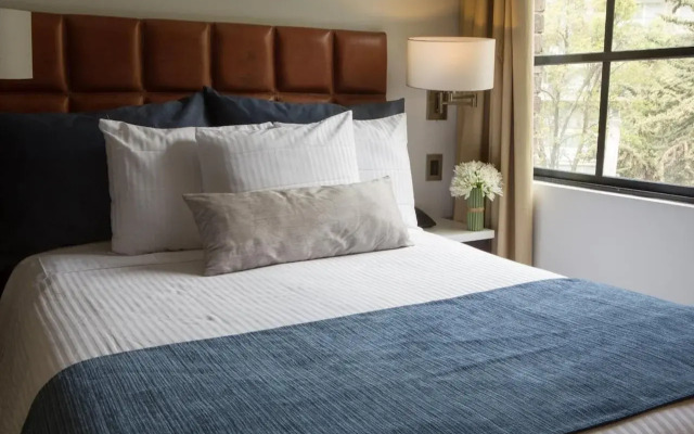 Flowsuites Polanco Mexico City