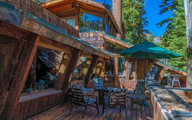 Granite Chief 2 Criterion 39 - Harley