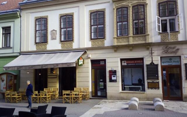 Király Str Apartman with free parking