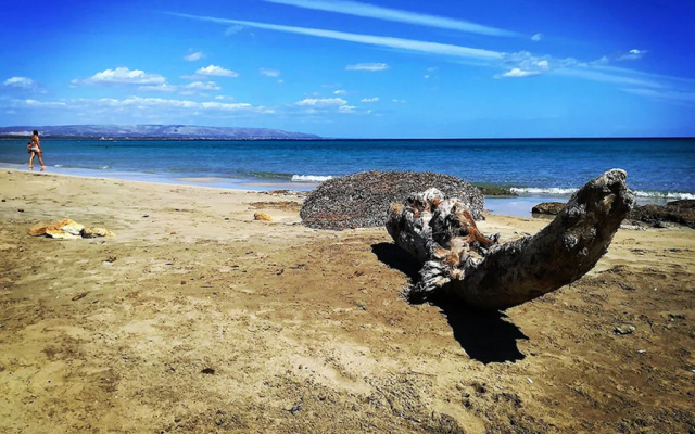 Beachside Getaway w/ Garden