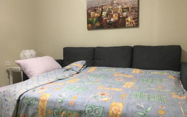 Cozy and Quiet mini City Apartment
