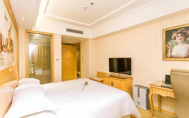 Vienna Hotel