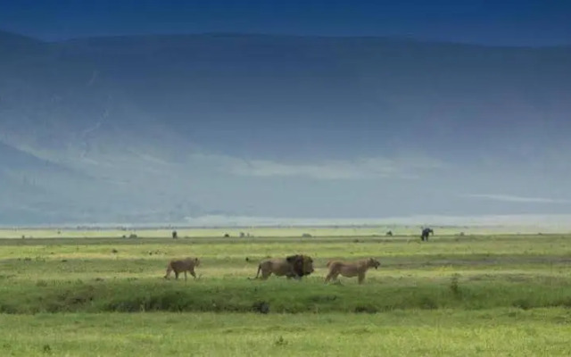 Kenzan Mara Tented Camp