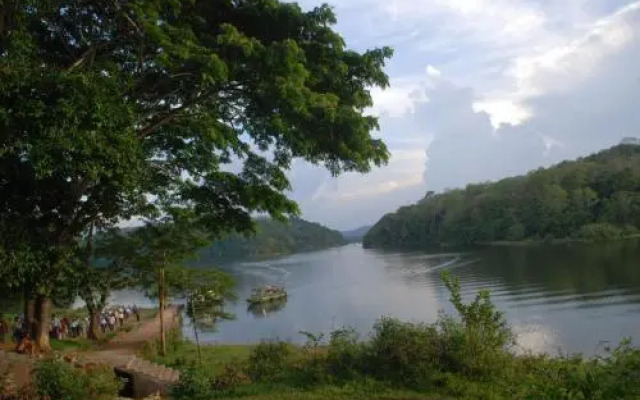 Pepper Green Periyar